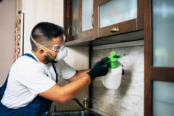 Best Flea Control Services  in Bedford Hills, NY