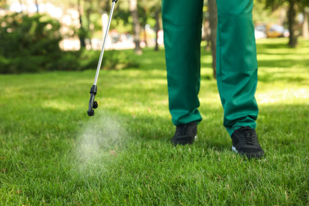 Best Local Pest Control Services  in Bedford Hills, NY