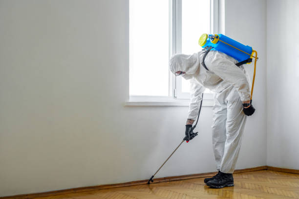 Best Best Pest Control Companies  in Bedford Hills, NY